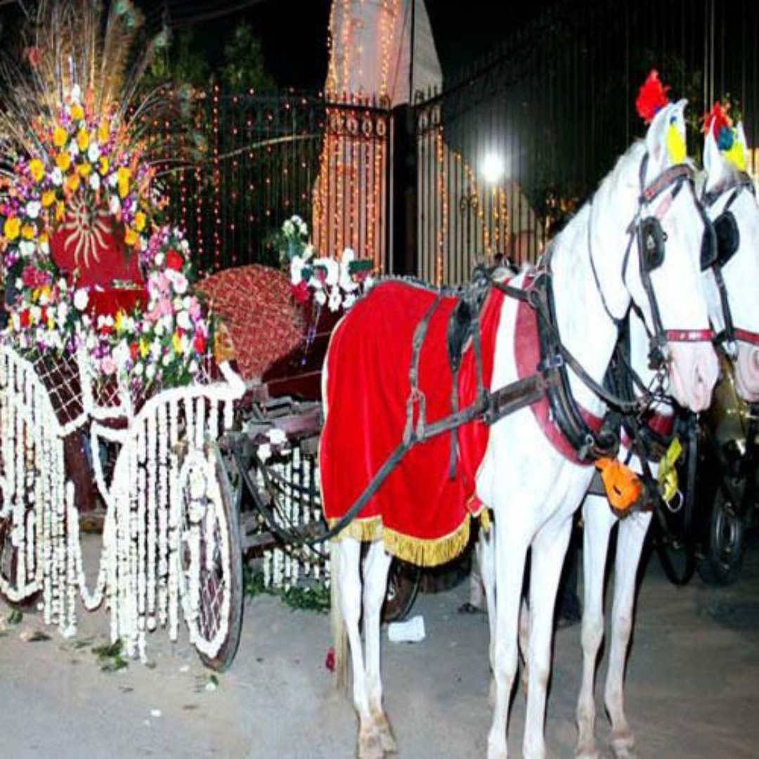 Ghodi Baggi services for events